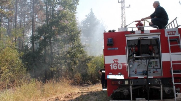 Снимка: БТА, архив