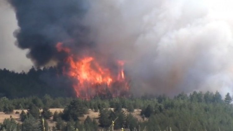 Огънят над Кресна обхвана 3000 дка, два вертолета на помощ