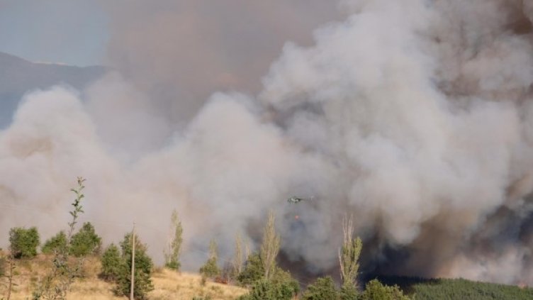 Снимка: Булфото, архив