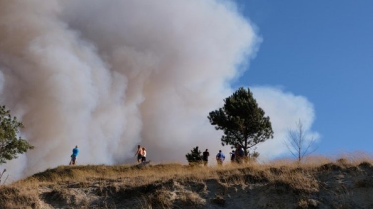 Снимка: архив Булфото