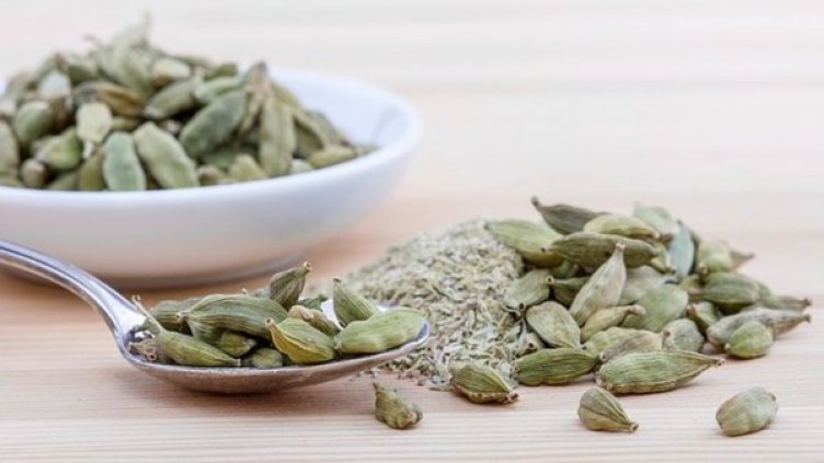 Снимка: pixabay