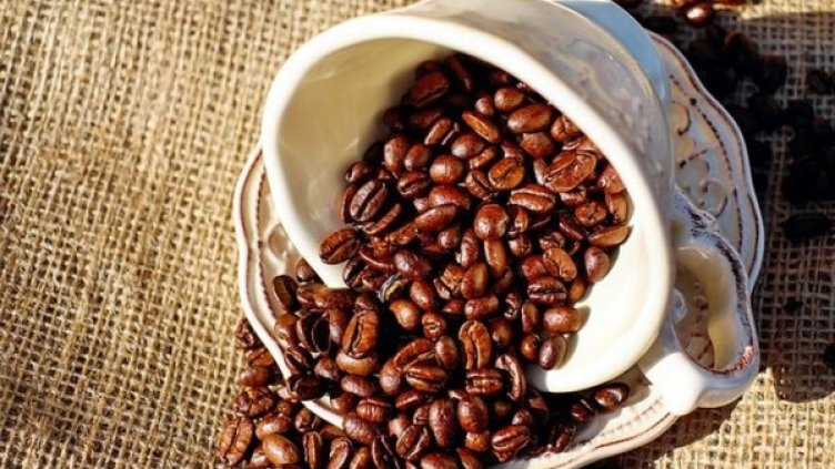 Снимка: pixabay