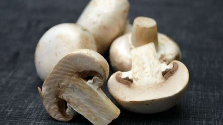 Снимка: pixabay