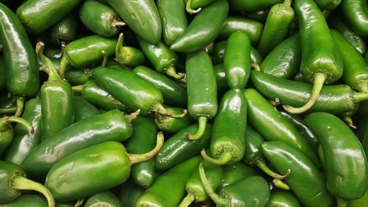 Снимка: pixabay