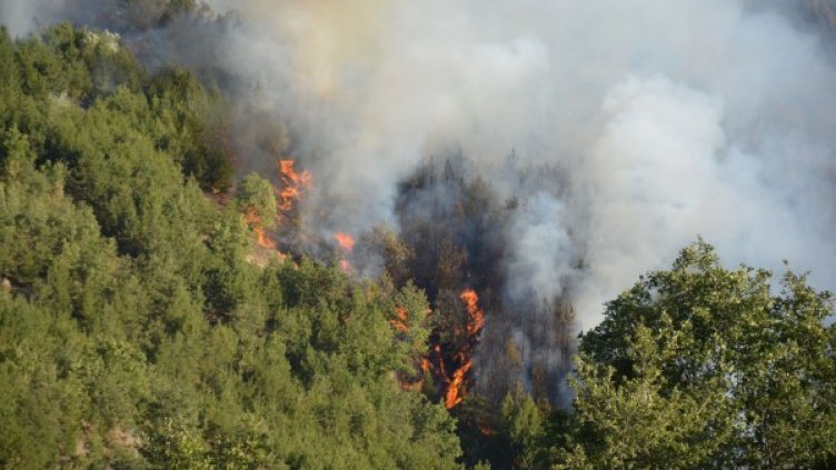 Големият пожар от последните дни над Кресненското дефиле. Снимка: БТА