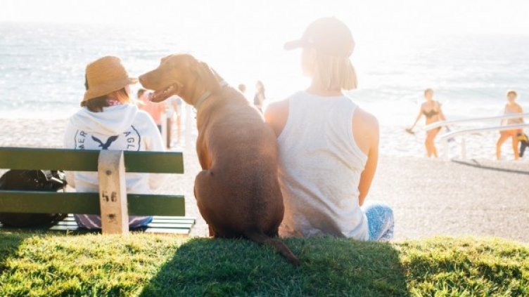 Снимка: visualhunt.com