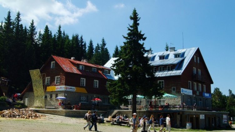 Снимка: Булфото, архив