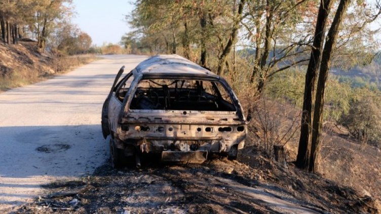 Снимка: Булфото