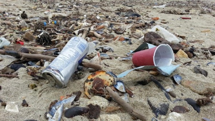 Снимка: Булфото