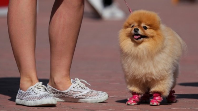 Снимка: архив, Reuters