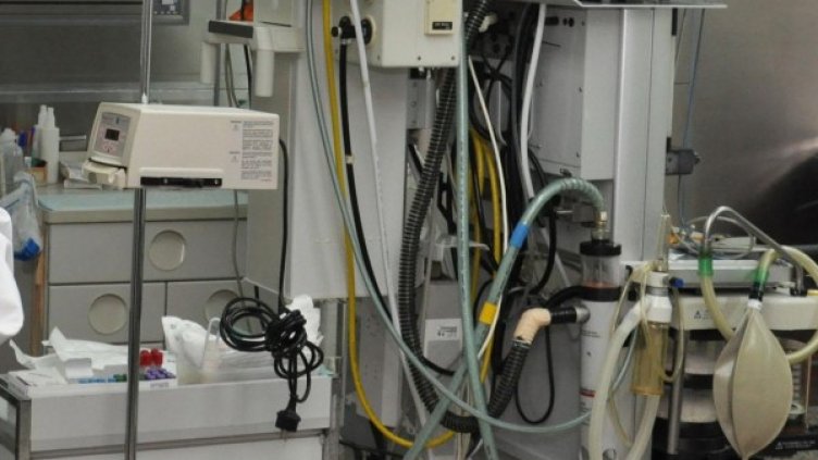 Снимка: архив, БулФото