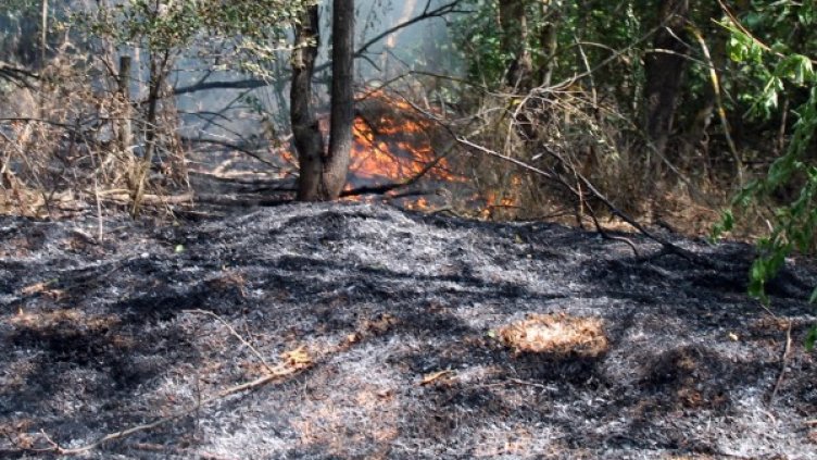 Снимка: БТА, архив