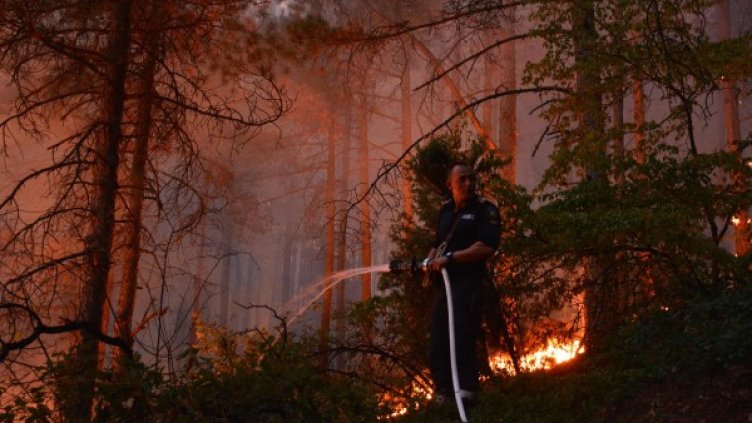 Снимка: архив, Bulphoto