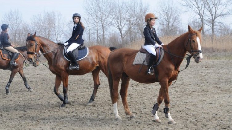 Снимка: Булфото, архив