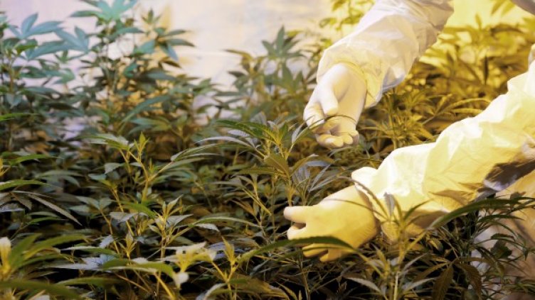 Снимка: архив, Reuters