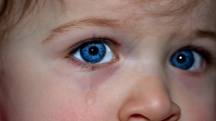 Снимка: pixabay