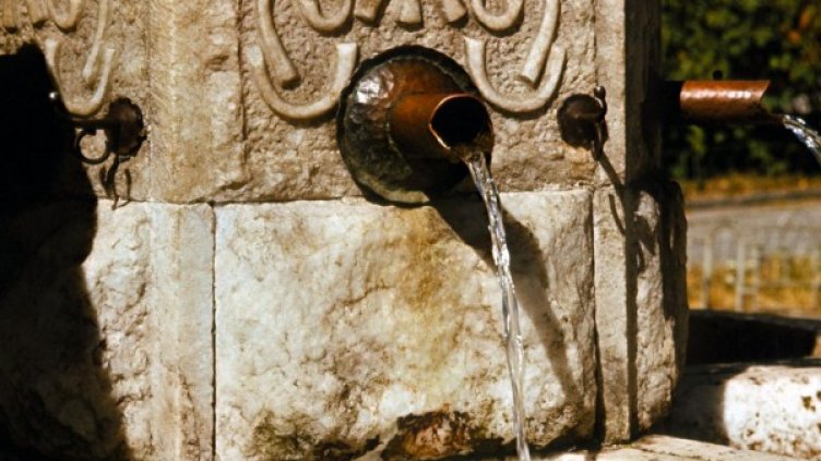 Архив: Булфото