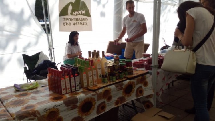 Снимка: Dnes.bg