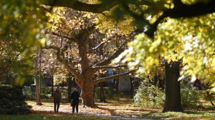 Снимка: Булфото, архив