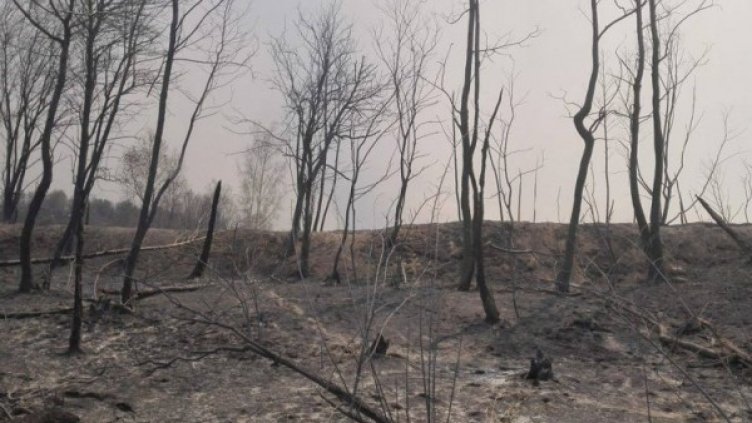 Снимка: Bulgaria On Air