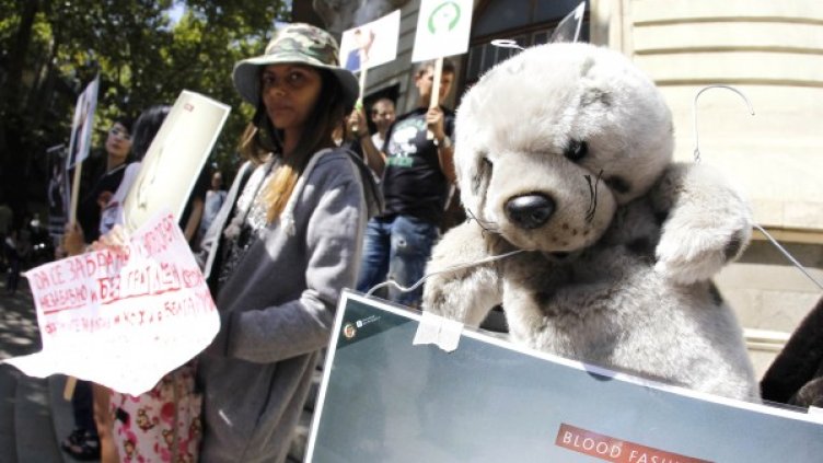 Снимка: Олег Попов, Dnes.bg