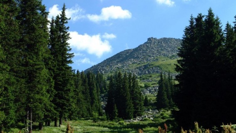 Снимка: Булфото, архив