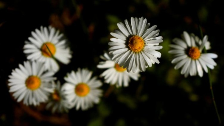 Снимка: архив, Reuters