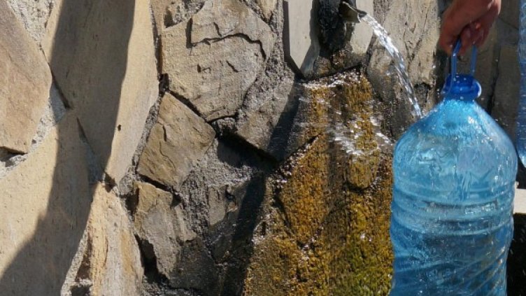 Архив: Булфото