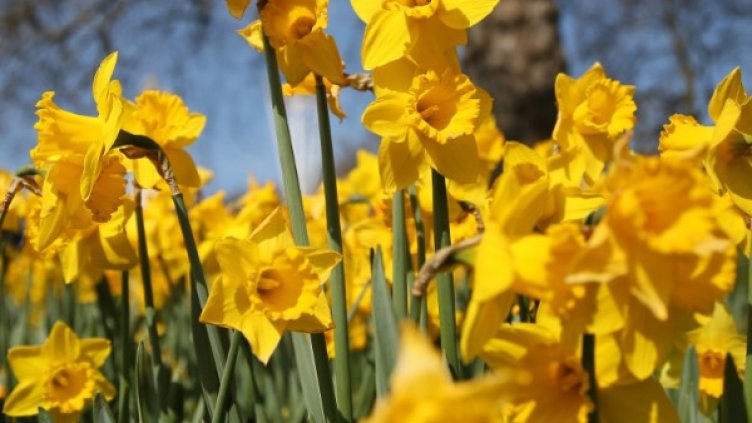 Снимка: архив, Reuters