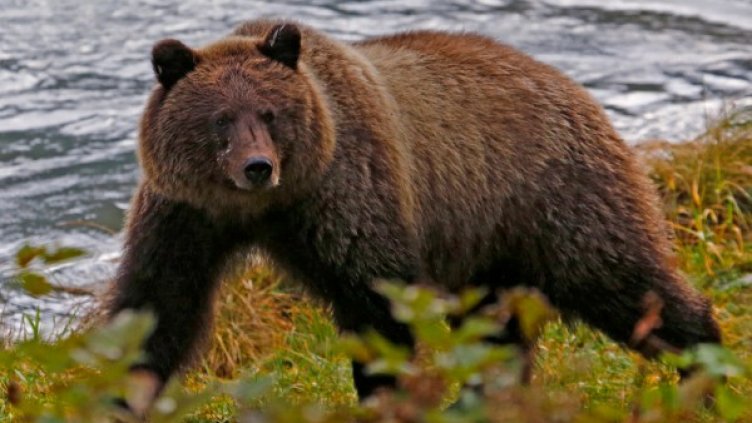 Снимка: архив, Reuters