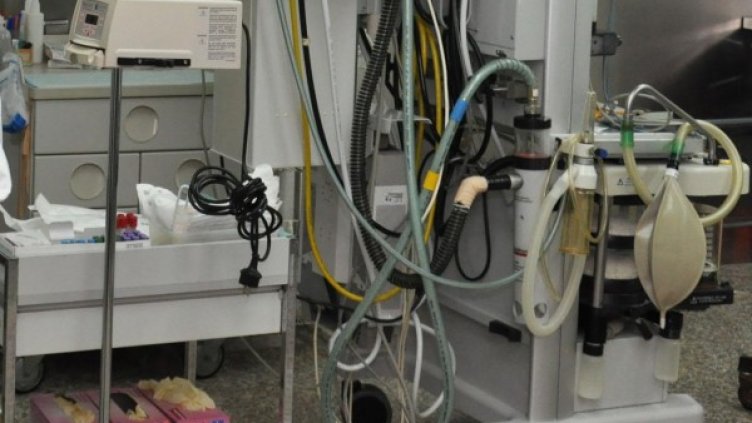 Снимка: архив, БулФото