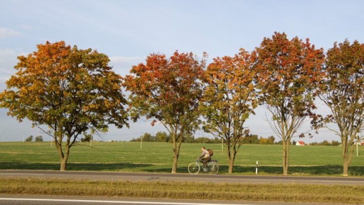 Снимка: Reuters, архив