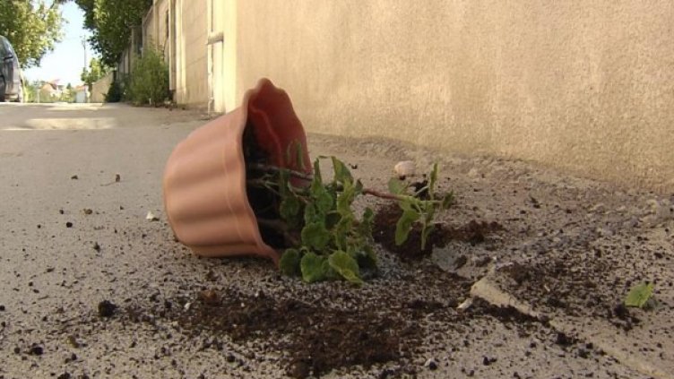 Снимка: Булфото, архив