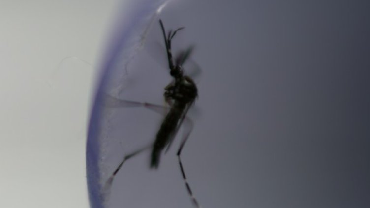 Снимка: Reuters, архив