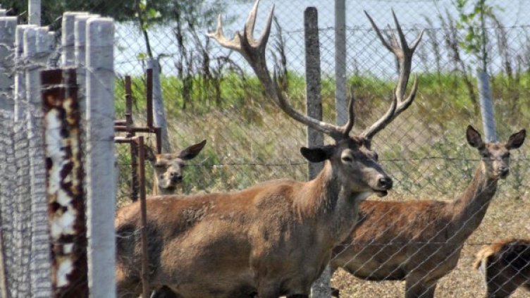 Снимка: Архив, Булфото