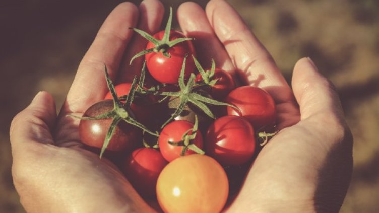 Снимка: unsplash