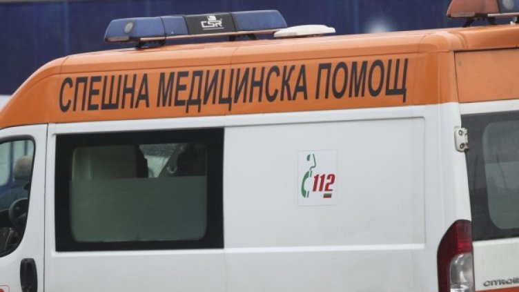 Снимка: Архив, Булфото