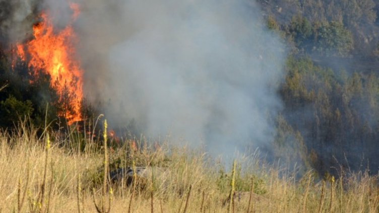 Снимка: Архив, БТА