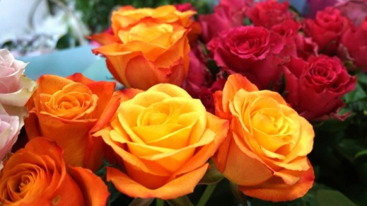 Снимка: архив, Булфото