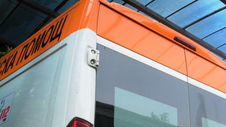 Снимка: Архив, Булфото