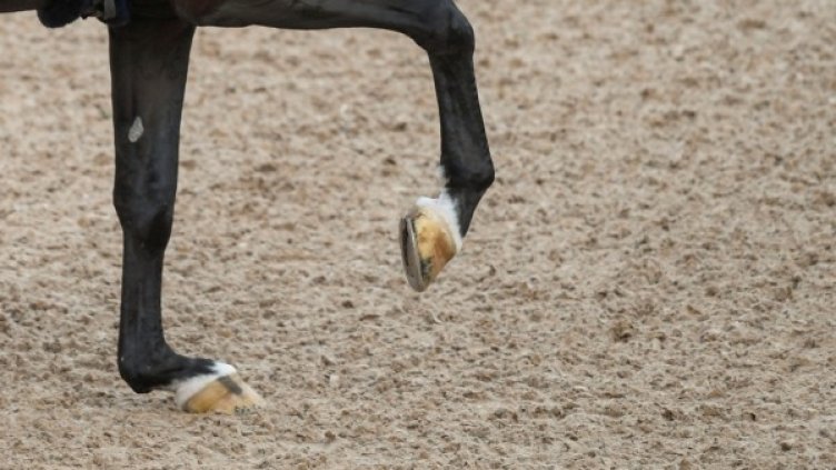 Снимка: архив Reuters