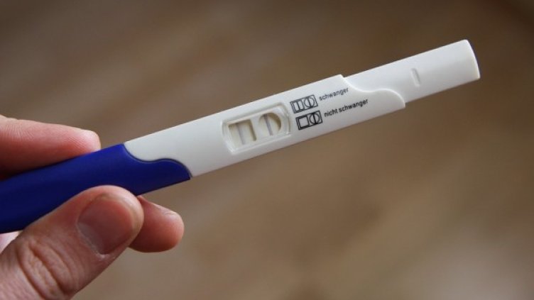 Снимка: Pixabay