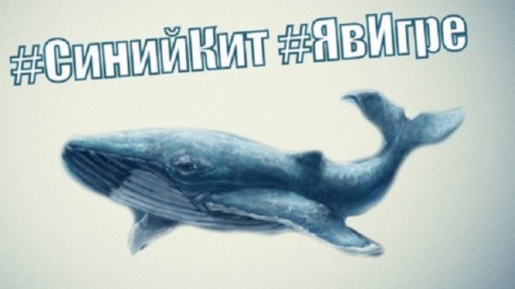 За играта "Син кит" се заговори след смъртни случаи в Русия. Снимка: Facebook