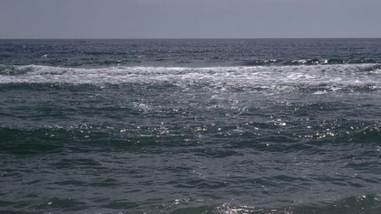 Снимка: архив, Булфото