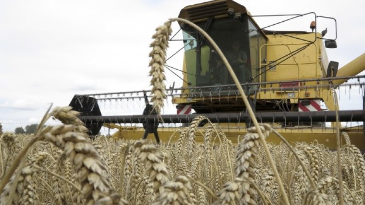 Снимка: Reuters, архив