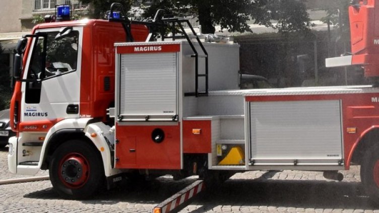 Снимка: Булфото, архив