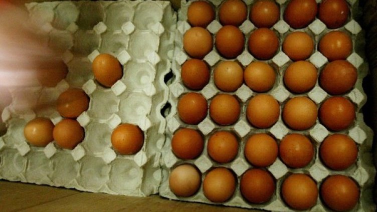 Снимка: Reuters, архив