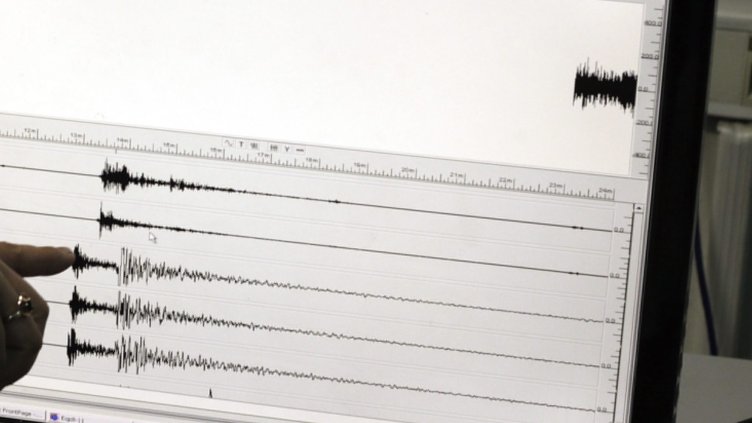 Снимка: архив, БГНЕС