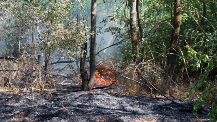 Снимка: архив, БулФото