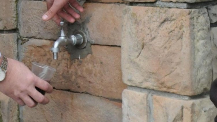 Архив: Булфото